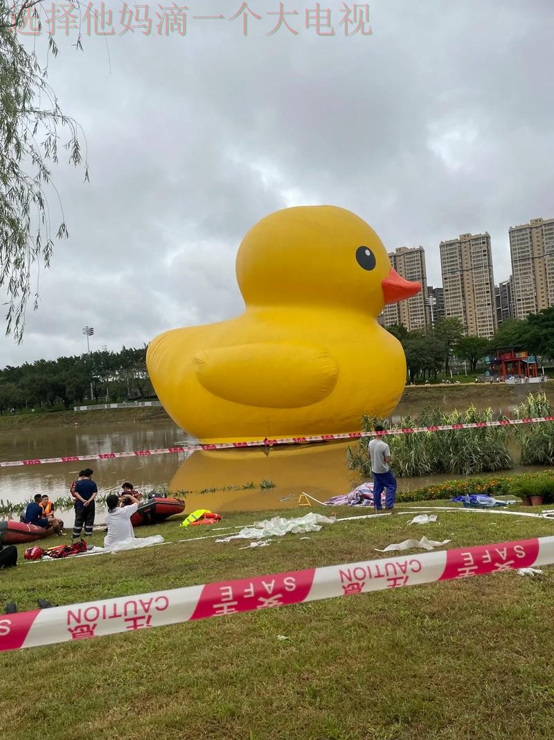 半岛体育在哪里玩 半岛体育在哪里玩