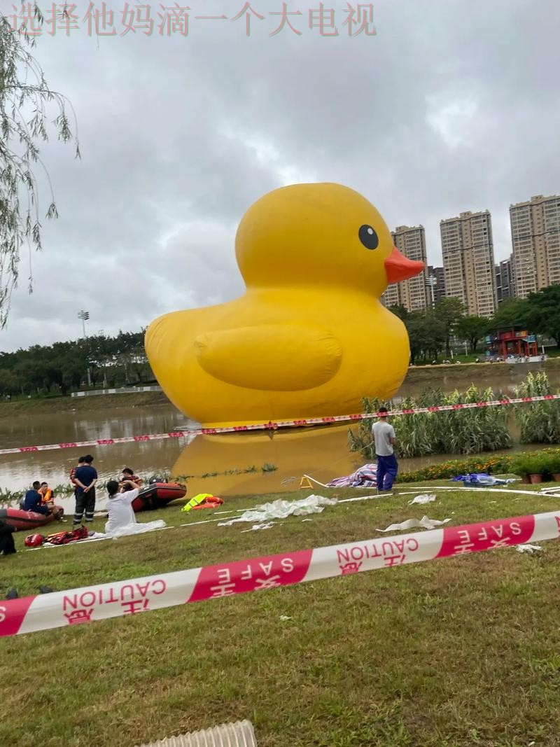 半岛体育在哪里玩 半岛体育在哪里玩